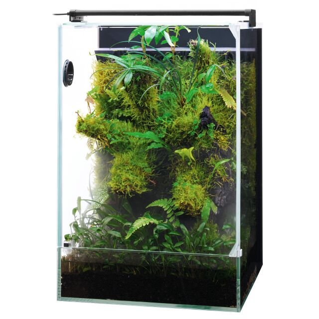 DOOA - System Paluda