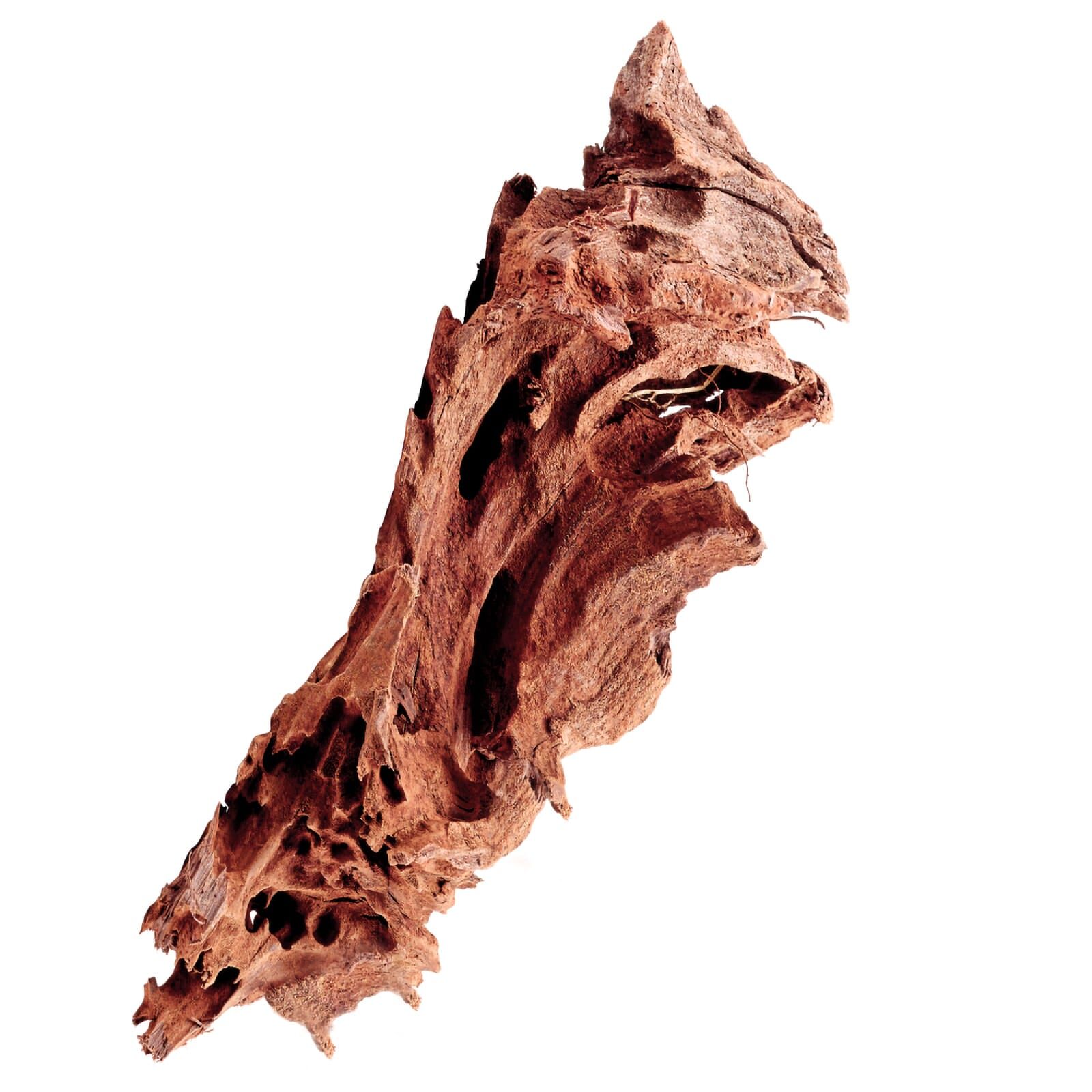 Mangrove Driftwood