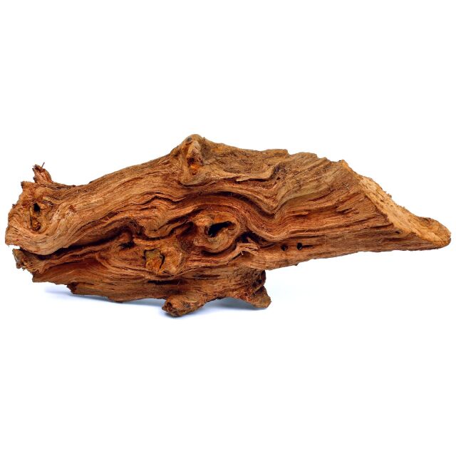 Mangrove Driftwood