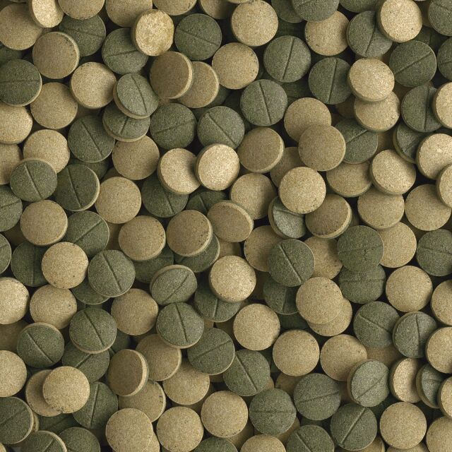 Tetra - Pleco Tablets XL - 133 St&uuml;ck