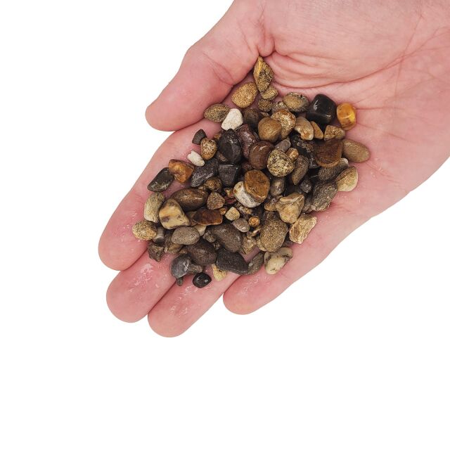 WIO - Gravels - Elderly