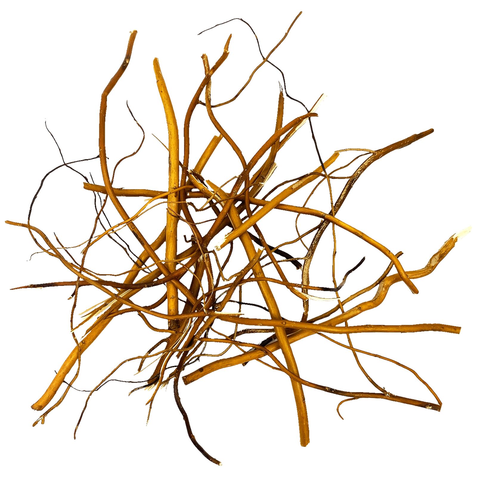 WIO - Roots - Amber Root - 10-40 cm - 140 g