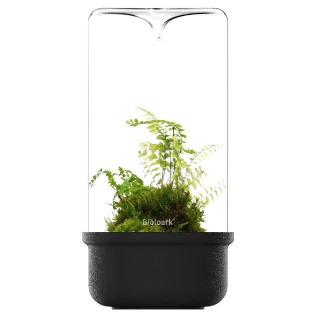 Bioloark - Luji Glass Cup Schwarz - MH