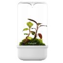 Bioloark - Luji Glass Cup Weiß - MH