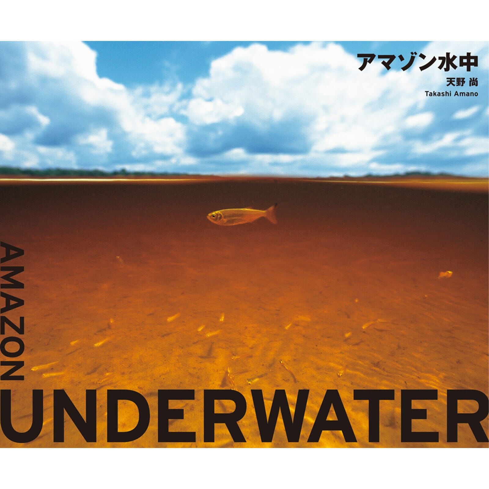 ADA - Amazon Underwater