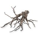 Black Root - Set - L