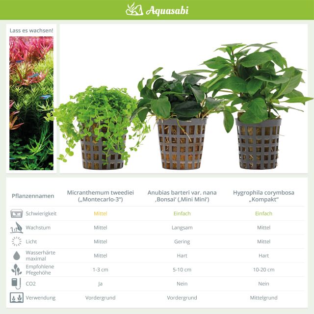 Aquarium Plant Set - 30 Liters - Green - Medium - No. 05