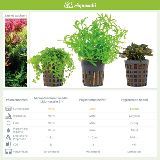 Aquarium Plant Set - 30 Liters - Colorful - Medium - No. 04