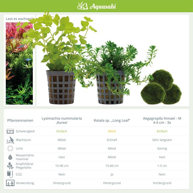 Aquarium Plant Set - 30 Liters - Colorful - Medium - No. 04