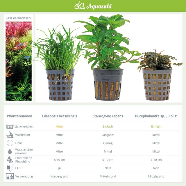 Aquarium Plant Set - 30 Liters - Colorful - Medium - No. 05