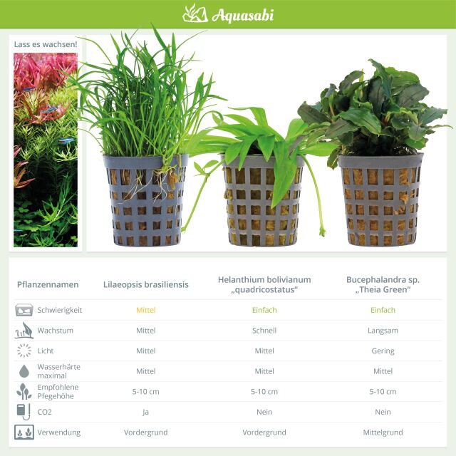 Aquarium Plant Set - 60 Liters - Green - Medium - No. 03