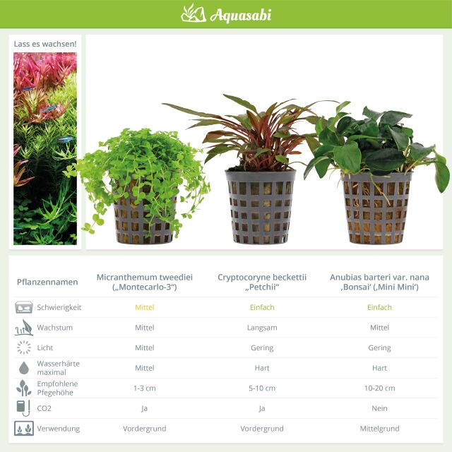 Aquarium Plant Set - 60 Liters - Green - Medium - No. 04