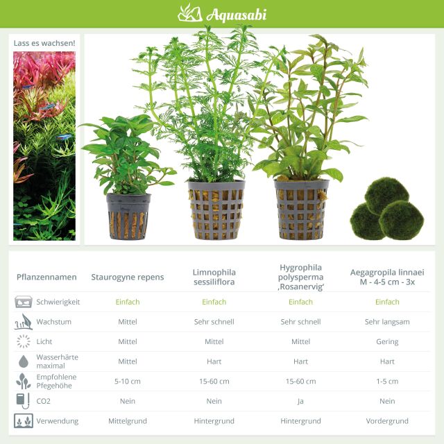 Aquarium Plant Set - 60 Liters - Green - Medium - No. 04