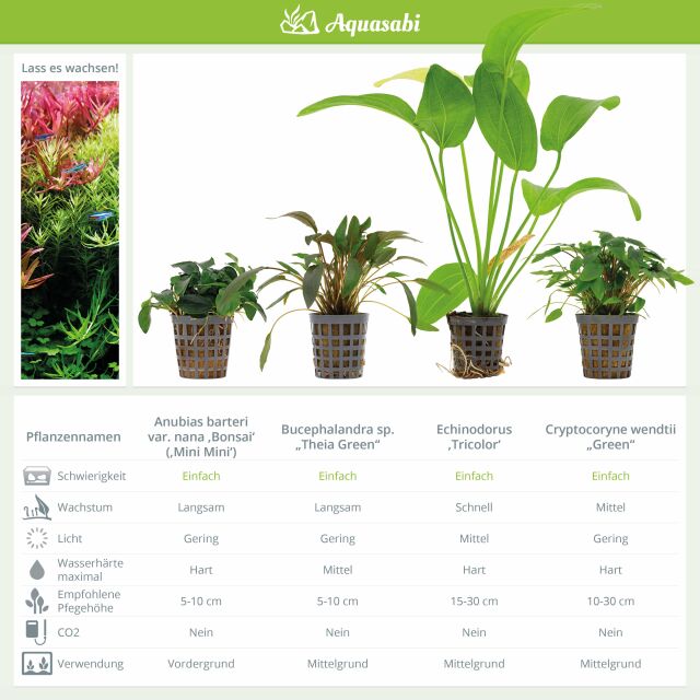 Aquarium Plant Set - 250 Liters - Colorful - Easy - No. 05