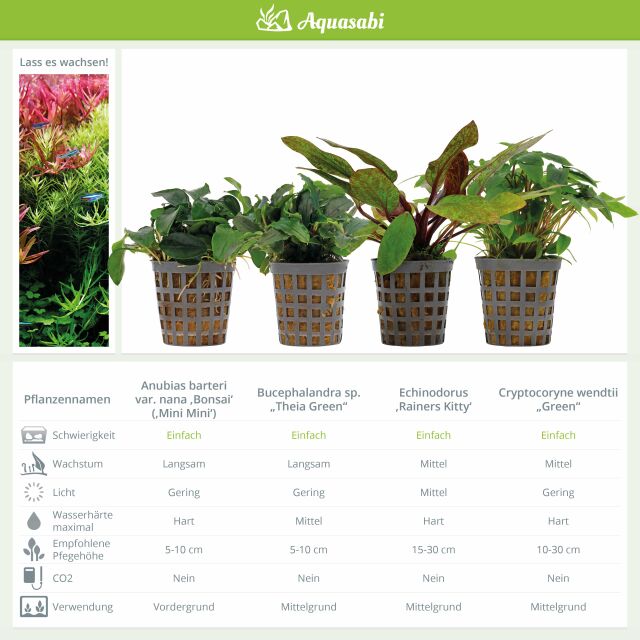 Aquarium Plant Set - 250 Liters - Colorful - Easy - No. 08