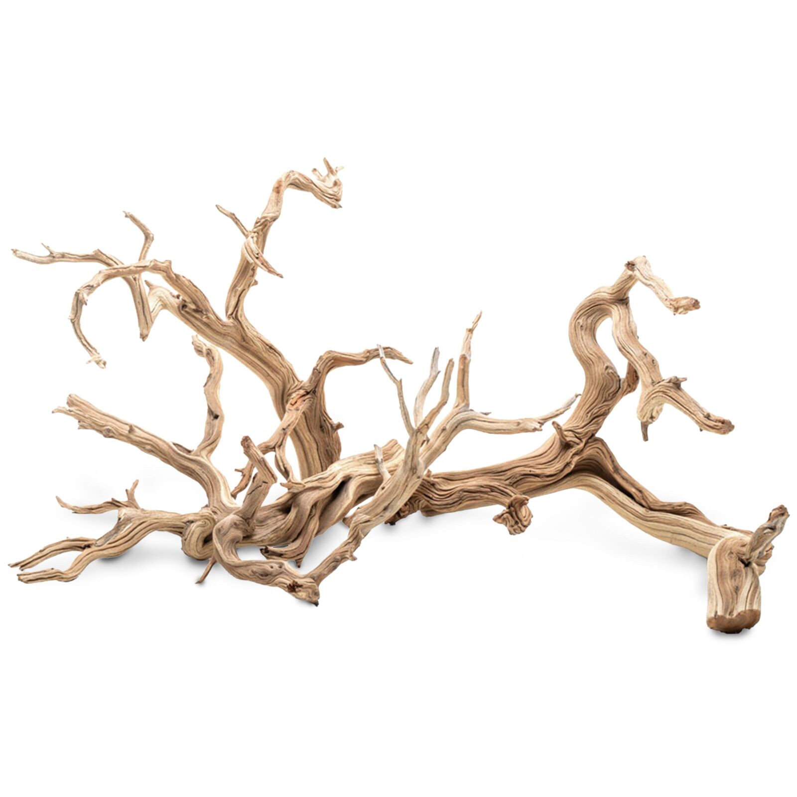 UNS - Ghost Wood