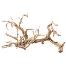 UNS - Ghost Wood