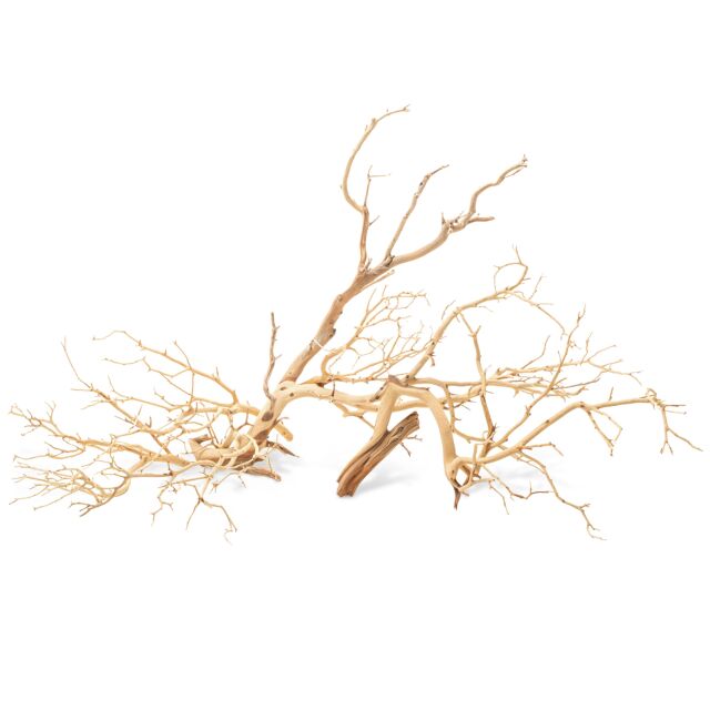 UNS - Manzanita