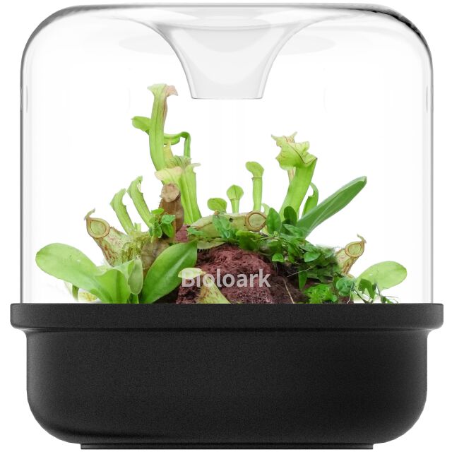 Bioloark - Luji Cup - MY 150 K