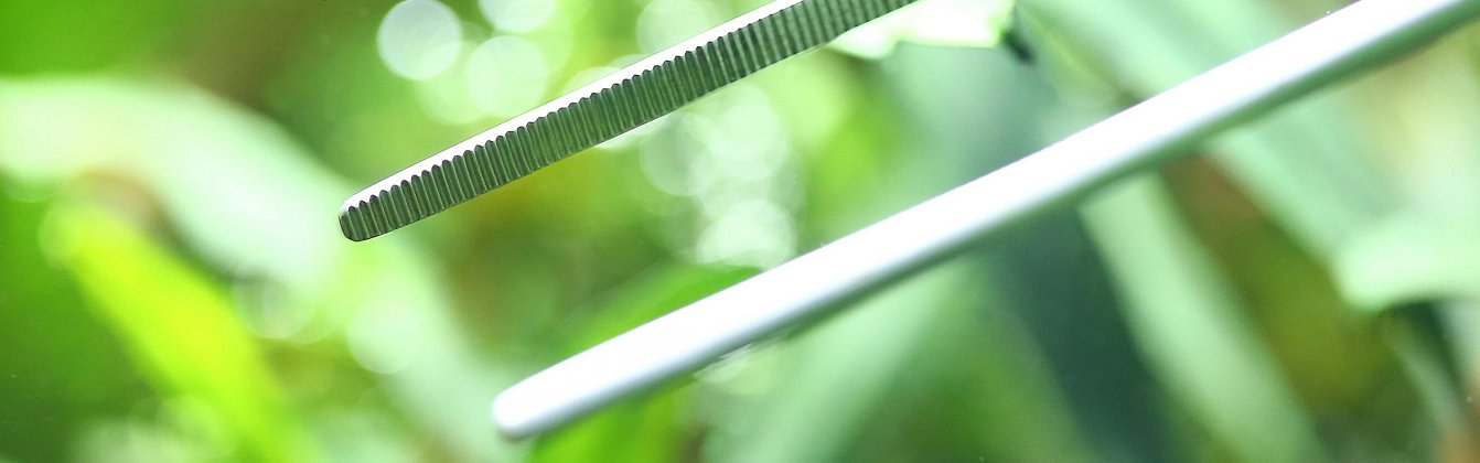 Tweezers