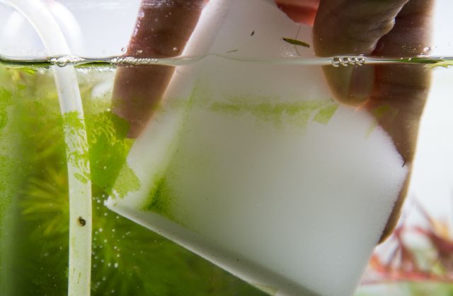 Glass cleaning