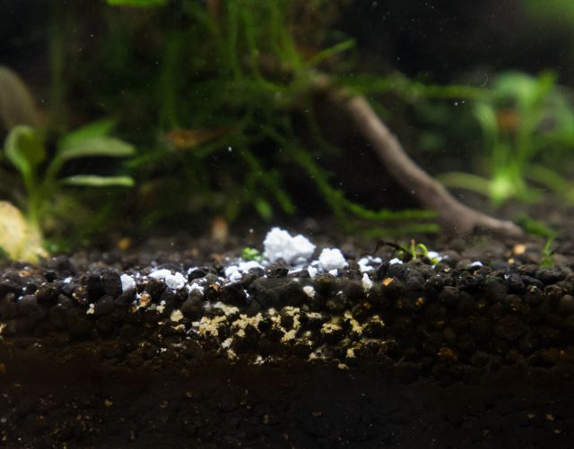 Food sinking into the substrate