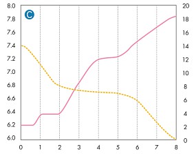 ADA leeres Becken Chart